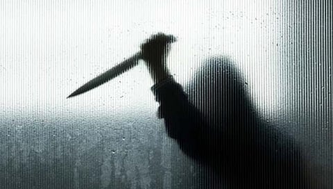 वैभववाडी : मनोरुग्ण तरुणाकडून पोलिसावर चाकूहल्ला