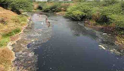 माळेगाव कारखान्याच्या सांडपाण्यामुळे प्रदुषित झालेला प्रवाह