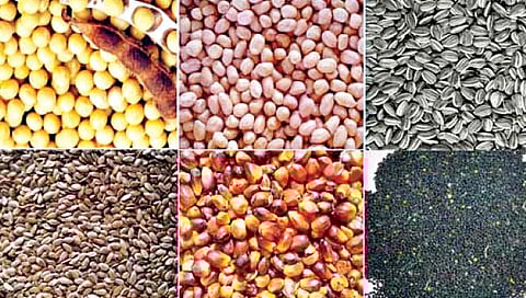 शेतकर्यांना उत्तम प्रतीचे बियाणे उपलब्ध करून द्या : डॉ. देशमुख