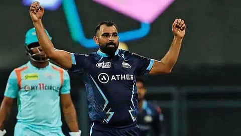 मोहम्मद शमीवर हॉलिवूडची पोर्नस्टार भलतीच फिदा ! शमीच्या कामगिरीवर म्हणते…