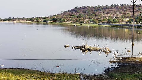 ujani dam