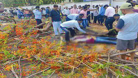 नाशिकच्या लेखानगर येथे दुचाकीवर गुलमोहरचे झाड पडल्याने एकाचा मृत्यू