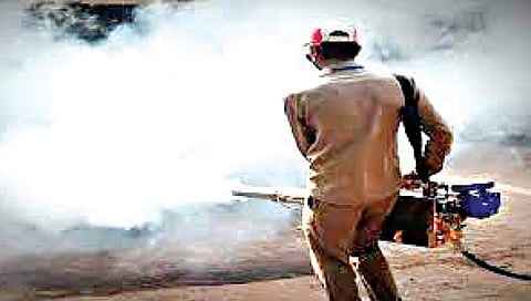 नाशिक : औषध फवारणी ठेक्याबाबत निर्णय घेण्याचे अधिकार महापालिका आयुक्तांनाच