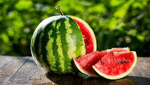 मालेगावचे कलिंगड काश्मिरला रवाना
(प्रातिनिधिक फोटो)