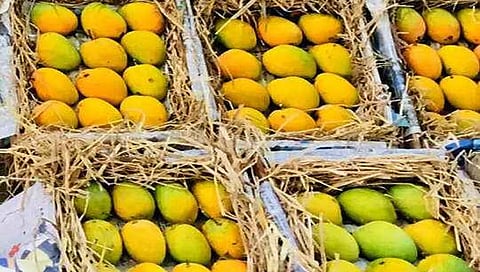 प्रातिनिधिक फोटो