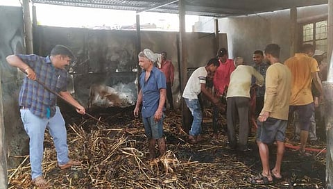 सातारा : गोठ्याला लागलेल्या आगीत २ रेडकांचा होरपळून मृत्यू