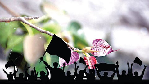 सण उत्सवांना फुटली चैत्रपालवी, www.pudhari.news