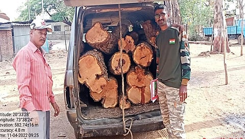 नाशिक : सुरगाणा येथे कारवाईत जप्त करण्यात आलेल्या वाहन व खैर यांसोबत वनकर्मचारी.