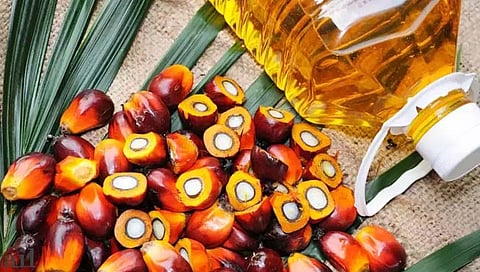 भारतात खाद्यतेल आणखी महागणार; इंडोनेशियाचा तेल निर्यात बंदीचा निर्णय