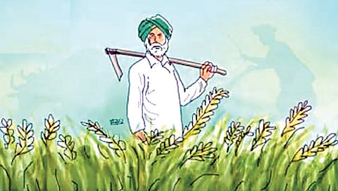 भूमिहीन शेजमूजर झाले जमीनमालक ; पाहा नाशिक विभागाची ‘स्थिती’