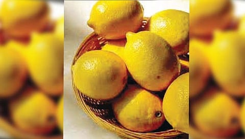 लिंबूवर्गीय फळांना मागणी वाढली
