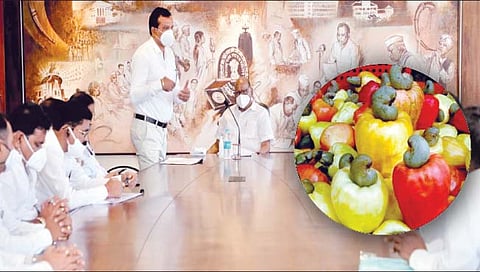 दापोली : वाईन उद्योगाला परवानगी मिळावी म्हणून राष्ट्रवादीचे सर्वेसर्वा शरद पवार यांच्यासोबत चर्चा करताना संदीप राजपुरे, सोबत खासदार सुनील तटकरे.