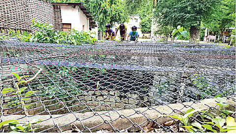 विहिरींवर बसवल्या संरक्षक जाळ्या,www.pudhari.news