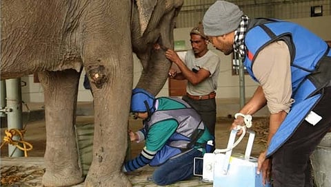 सातारा : वराडेतील अत्याधुनिक वन्यजीव उपचार केंद्रासाठी साडेसात कोटी