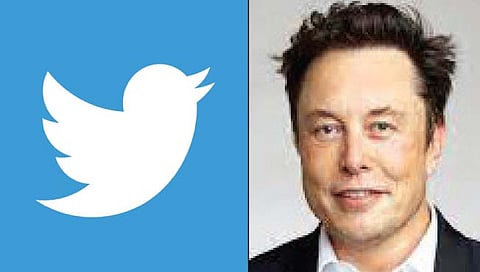 Twitter: एलन मस्क यांचा प्लॅन; ट्विटरमधील ७ हजार कर्मचाऱ्यांना काढून टाकणार?