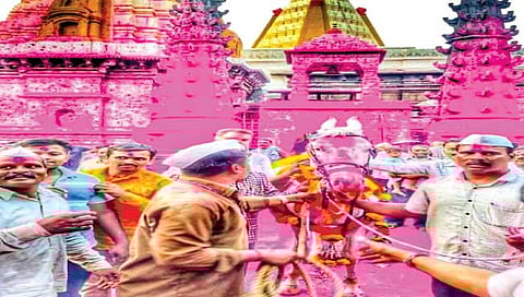 जोतिबा डोंगर : जोतिबाच्या सेवेत नवीन अश्व दाखल