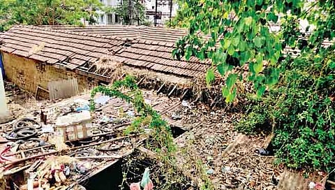 मिरज : येथील मच्छी व मटण मार्केटची अशी दुरवस्था झाली आहे.