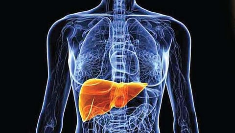 जंकफूड सेवनामुळे अमेरिकेत अनेकांना फॅटी लिव्हरची समस्या