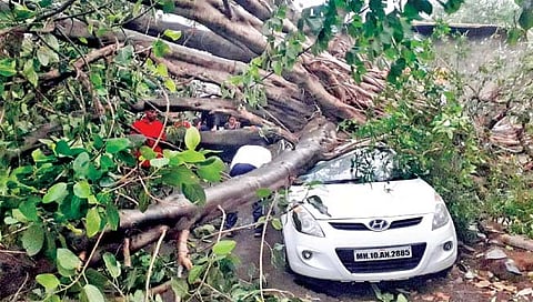 कोल्हापूर शहर, जिल्ह्याला वादळी पावसाने झोडपले