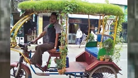 उन्हापासून बचावासाठी रिक्षावरच उगविले हिरवेगार गवत