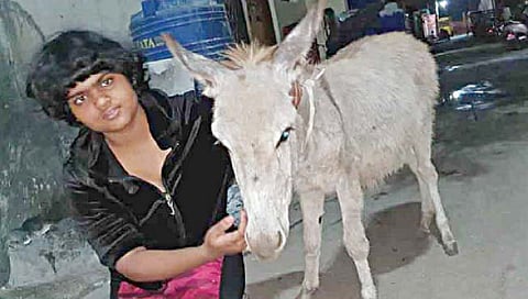 अॅड. गुणरत्न सदावर्ते यांच्या मुलीचा आगळावेगळा छंद