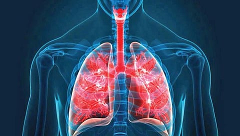 मानवी शरीरात मिळाला नवा अवयव