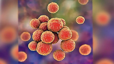 सुपरबगपासून संरक्षण देणार नवे अँटिबायोटिक