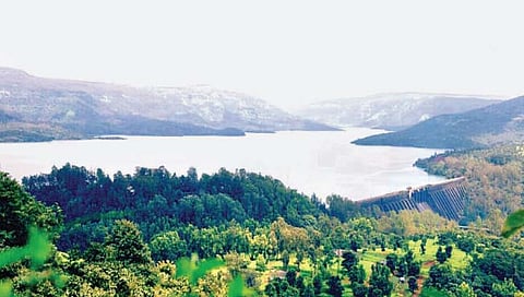 पाटण : लवादाच्या मर्यादेने निम्मा महाराष्ट्र अंधारात जाण्याची भीती