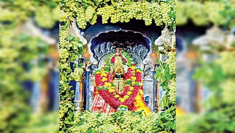 तुळजाभवानी देवीस द्राक्षांची आरास