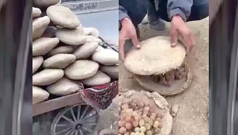 फळे टिकवून ठेवण्याची ‘ही’ अफगाणी पद्धत!