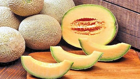 उन्हाळ्यात टरबुजाचे सेवन ठरते लाभदायक