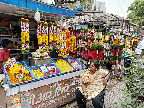 Dapodi: Flowers wither due to rising sun