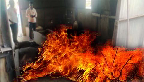 अजिंठा : गोठ्याला आग लागल्याने चार जनावरे ठार, दोन होरपळून जखमी