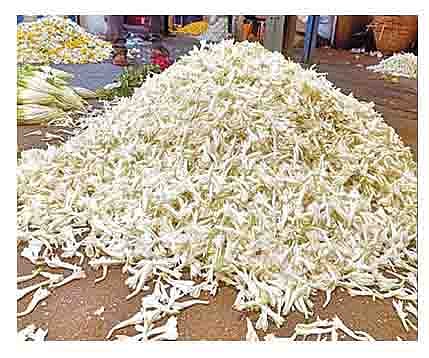 बाजारात बंगळुरू येथून दाखल झालेली निशिगंधची फुले.