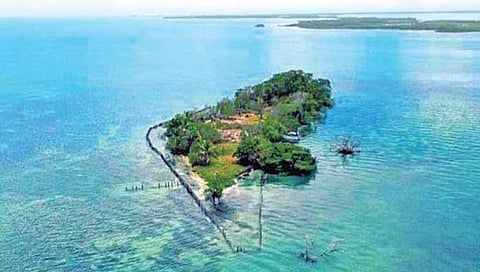दोघांनी बेट विकत घेऊन बनवला देश!