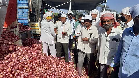 Nafed : नाफेडमार्फत लासलगाव बाजार समितीतून आजपासून कांदा खरेदी