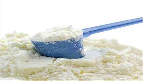 दूध पावडर तयार करण्यावर निर्णयच नाही ; दूध उत्पादक शेतकरी अडचणीत