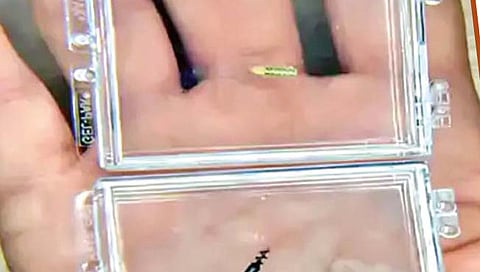 Nano Robot : रोगनिदानासाठी नॅनो रोबो शिरणार मेंदूत!