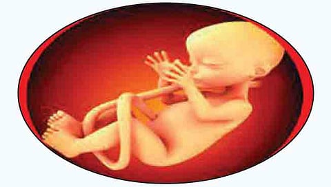 सिंधुदुर्ग : ‘पीसीपीएनडीटी’ कायद्याची कडक अंमलबजावणी; उल्लंघन झाल्याची माहिती देणारास १ लाखाचे बक्षीस!