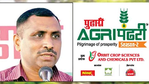 सांगली : नियोजनातून आले, हळदीचे उत्पादन