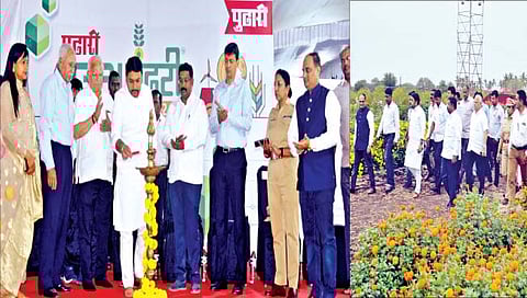 सांगली : बदलत्या हवामानामुळे कमी वेळेची पिके घ्या