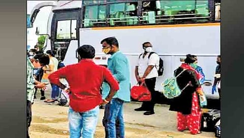 संग्रहीत