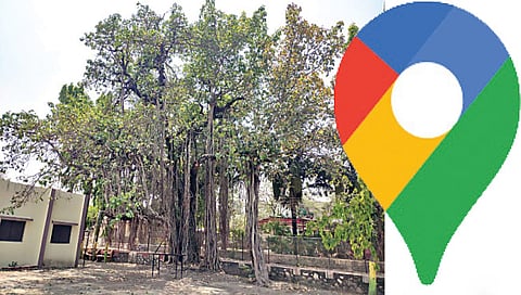 नाशिक, पिंपळगाव बसवंत www.pudhari.news