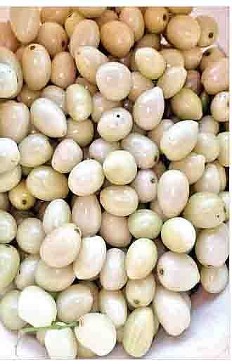 आता पुण्यात आले चक्क पांढरे जांभूळ