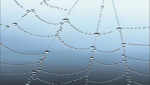 कोल्हापूरच्या प्रज्वलचा ‘क्लिक’ चमकला ‘ॲपल मॅक्रो’मध्ये!