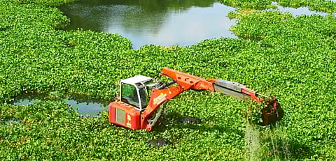 पुणे : जलपर्णीच्या कामाबाबत आयुक्तही अनभिज्ञ; माहिती न दिल्याने अधीक्षक अभियंत्याला नोटीस