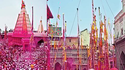 जोतिबा यात्रेसाठी उपस्थित लाखो भाविक गुलालात अक्षरश: न्हाऊन निघाले होते व जोतिबा यात्रेचे वैशिष्ट्य असणार्या सासनकाठ्यांनी आकाशाला गवसणी घातली होती.