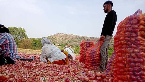 Onion prices : दर घसरल्याने कांद्याने आणले शेतकऱ्यांच्या डोळ्यात पाणी