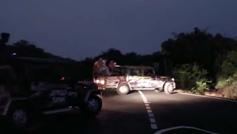 Cas Plateau ; Night Jungle Safar