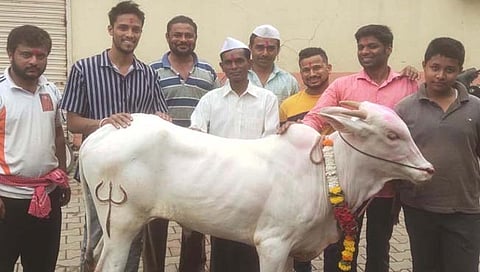 बेळगाव : जोतिबा मंदिरात कटल्याचे जल्लोषात आगमन